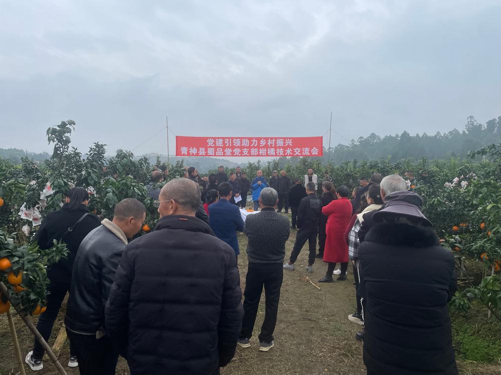 青神县：柑橘园里开交流会  共商乡村振兴大计
