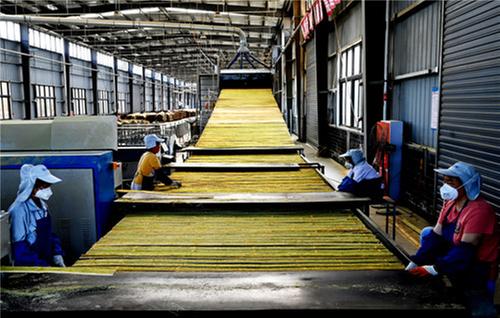 洪雅县：抢抓“以竹代塑”机遇  推动竹产业高质量发展