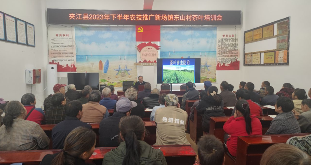 夹江县开展农业技术推广茶叶培训会