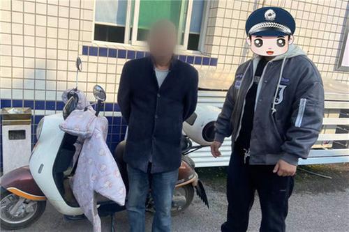 岳池公安破获多起电瓶车被盗案