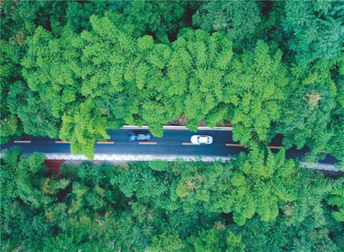 青神县获评四川省乡村运输“金通工程”样板县