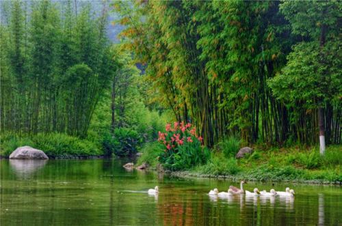 青神县：做好生态修复  厚植生态本底