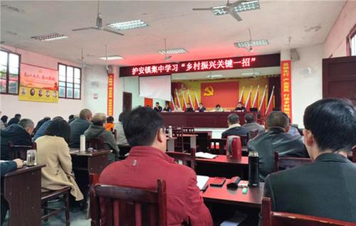 护安镇纪委：学好关键招 监督才有招