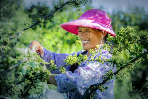 洪雅县：绿色发展 擦亮农业高质量发展底色