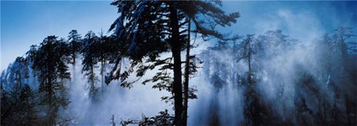 “美丽洪雅”让生活更幸福