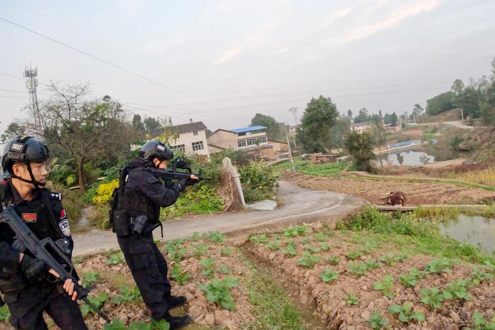 华蓥市特警果断击毙失控疯牛 保障群众安全