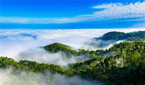 青神县：绿水青山总关情  共护生态和谐美