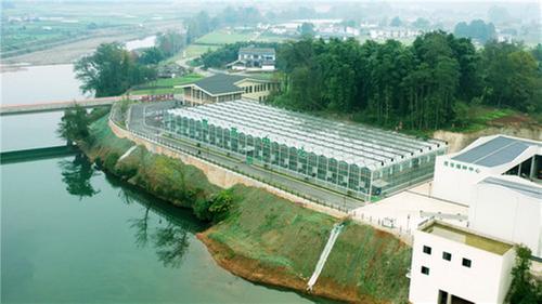 洪雅县：示范片引领 助力农业现代化发展