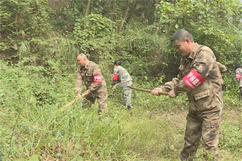 邻水县：群防群治织密今冬明春森林防火网