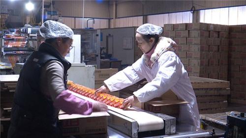 青神县：铆足干劲忙生产  打赢年终“收官战”