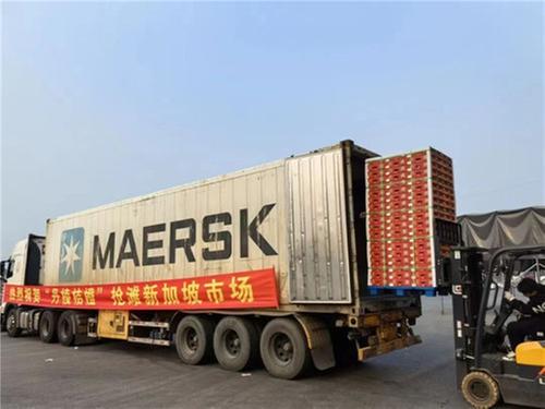 种在田头 卖向全球