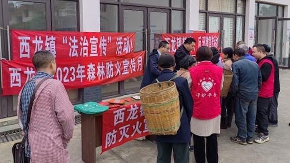 青神县： 聚焦好“枫”景  做好为民“贴心人”