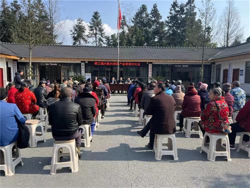 洪雅县：抱团发展产业丰收