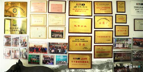 内江市市中区：扎根故土 “豪猪先生”带领村民致富