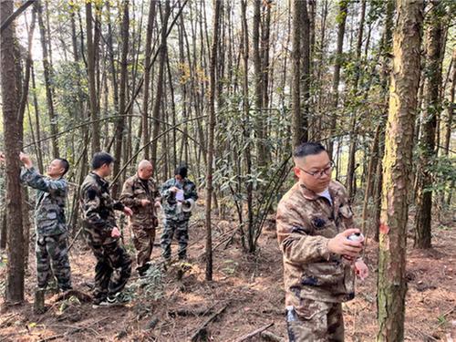 邻水县开展森林抚育 守护绿水青山