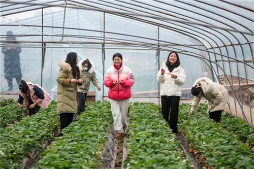 到成都东部新区石板凳相约“莓”好“丰”景