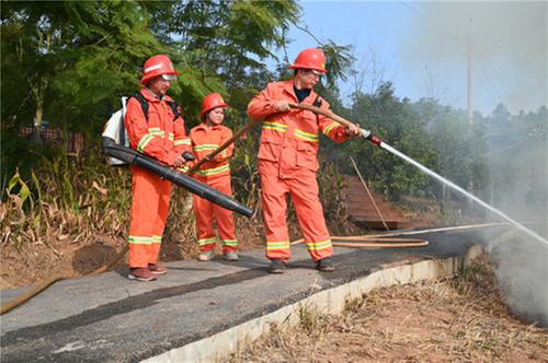 东兴区：以练为战护航森林安全