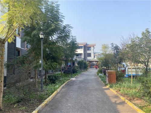 简阳市：“诗意栖居”的梦想照进了现实