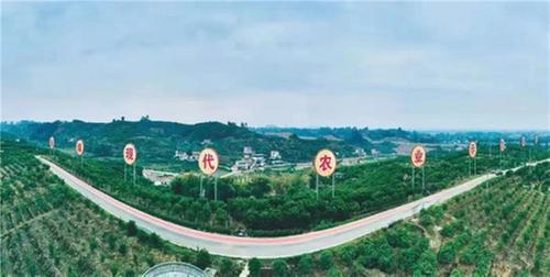 青神县：建设“四好农村路” 联通百姓“幸福路”