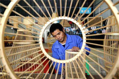 竹生万物 低碳富民