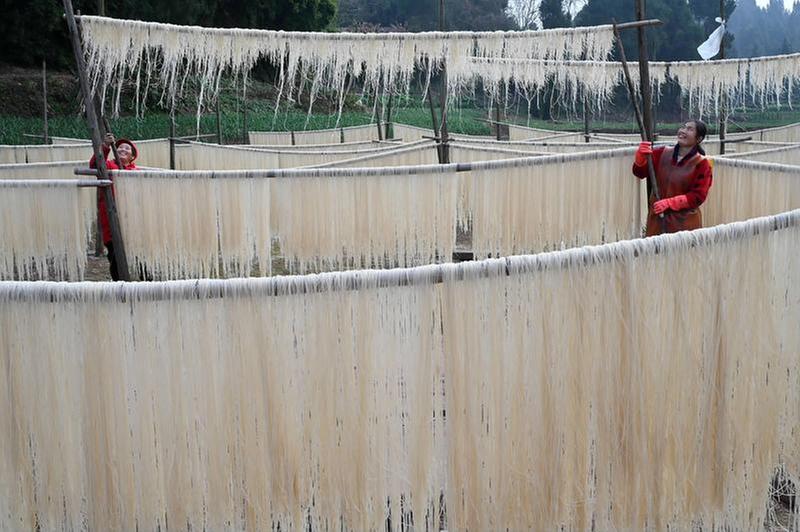 粉条飘香迎新春