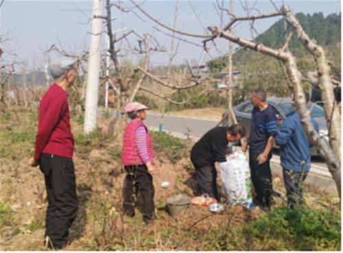 简阳市科协开展2024年农技系列培训活动