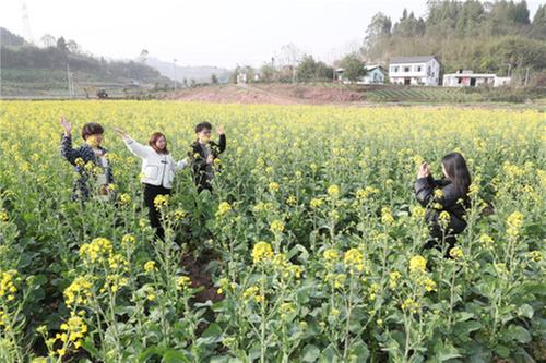 浓溪镇：油菜花开游客来