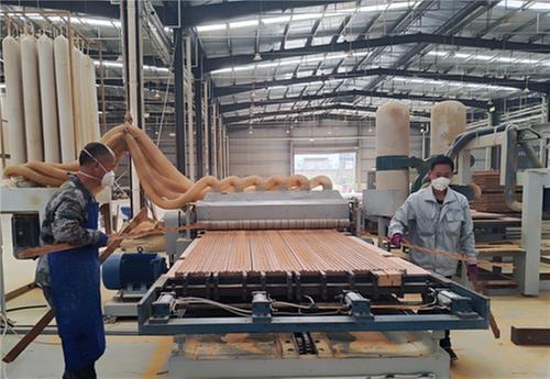 洪雅县：复工复产不负春  开足马力“加速跑”