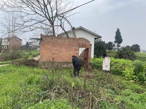 代市镇开展禁种铲毒踏查活动