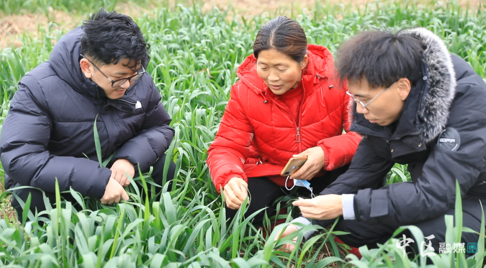 内江市市中区忙趁春风备春耕