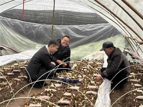 跳出“农门”再回“农门”  丹棱“新农人”何斌用行动助力乡村振兴