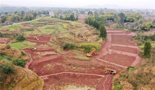 今年计划调形10.2万亩  广安区积极推进高标准农田建设