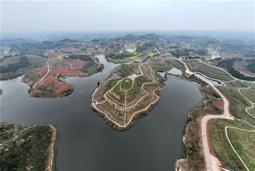 东兴区：“花果山”上飞防忙