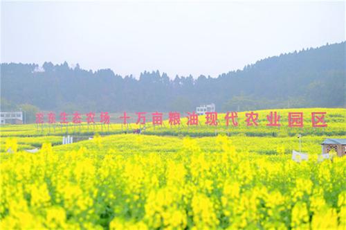 助力农业生产“开门红”  20余名专家学者齐聚简阳“开良方”