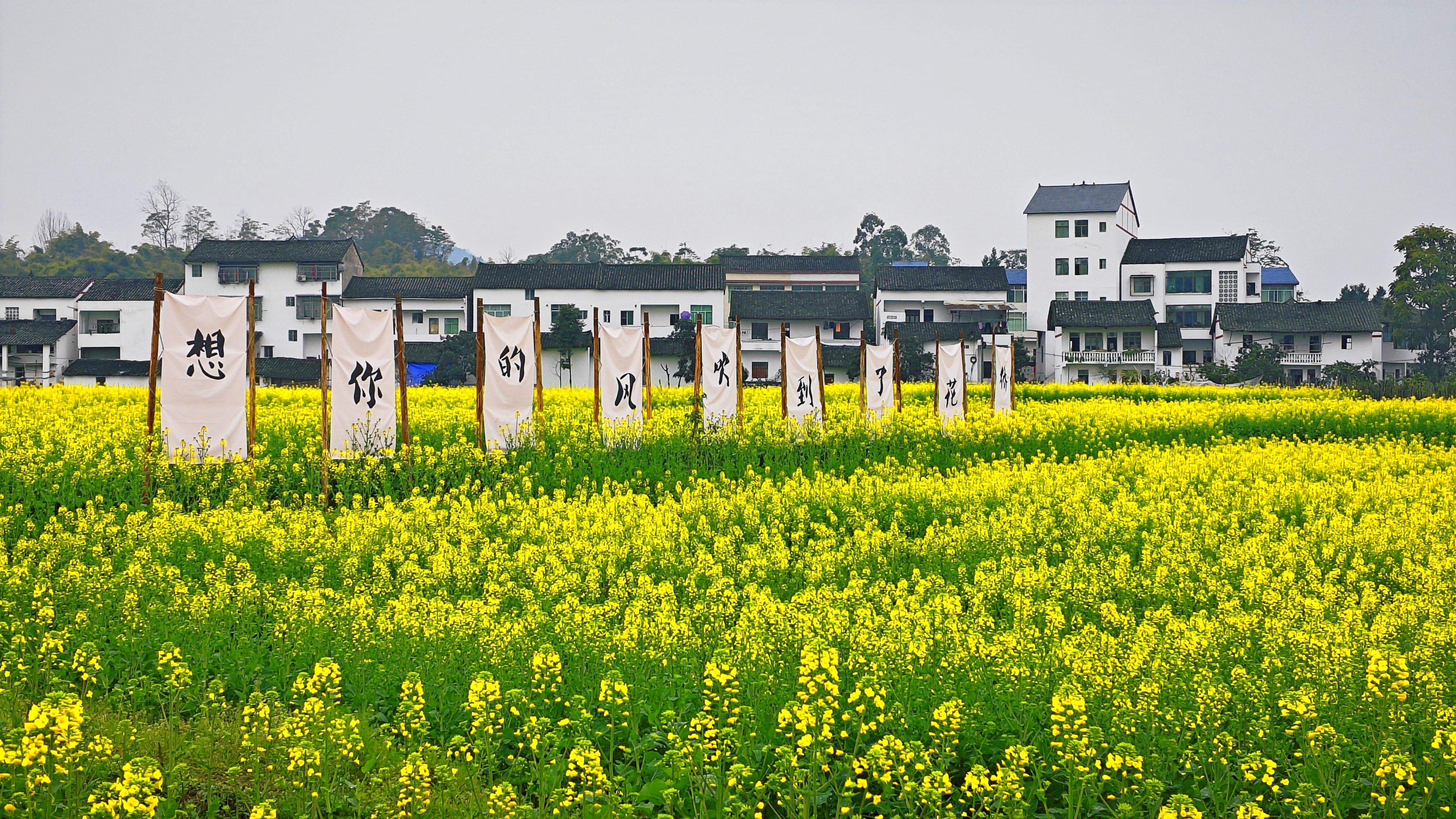 十万游客共赏春日美景