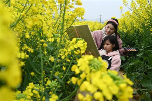 内江：油菜花田“画春天”