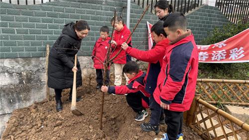 南江县长赤镇桥梁小学开展“为校园增绿 为青春添彩”植树活动