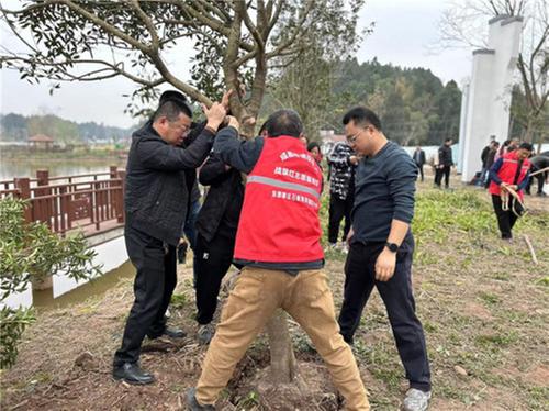 成都东部新区石板凳街道微网格开展“春风十里，绿色充‘植’”植树活动