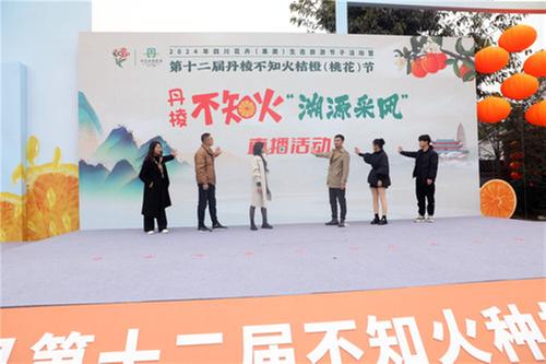 共品桔橙甜 共享幸福味