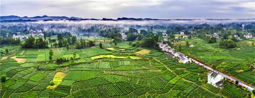 洪雅县：山水田园别样美 诗画乡村绘振兴