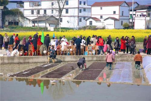 蓬安县科协开展文化科技卫生“三下乡”活动