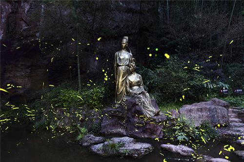 青神县：做好观萤服务保障  喜迎四方来客