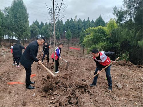 广安经开区枣山街道机关党支部开展“我为生态添绿·我为党旗添彩”主题党日活动