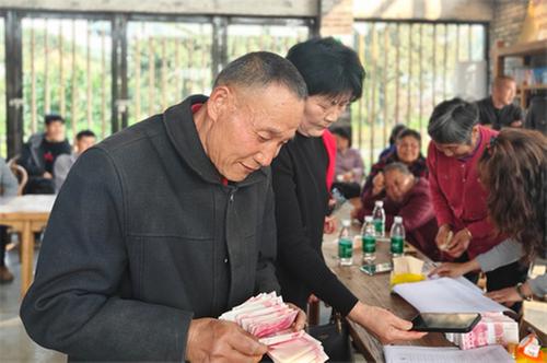 青神县：柑橘飘香 集体经济喜分红