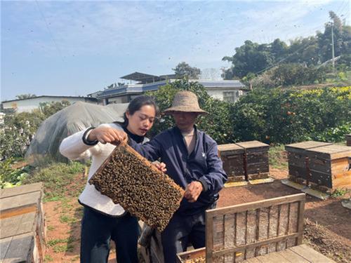 青神养蜂人的“甜蜜”生活