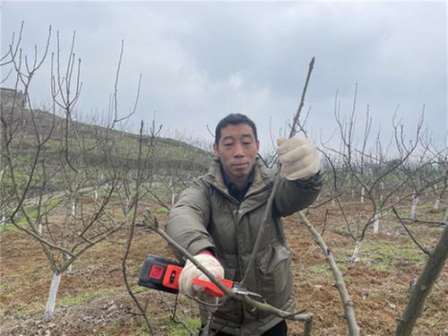 高滩镇：聚焦产业“兴”镇 赋能高质量发展