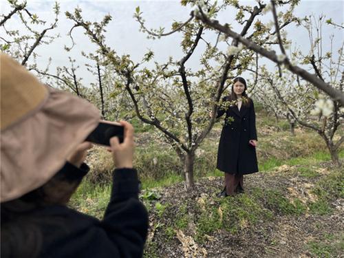 东坡区复兴镇：千亩李花开  游客纷至来