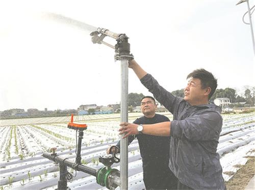 青神县：四方发力 春耕备耕下足真功夫