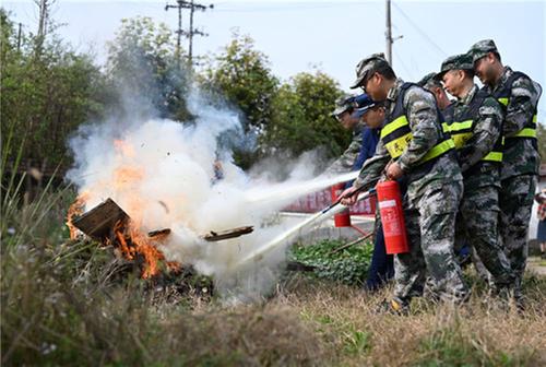 东兴区：筑牢森林“防火墙”