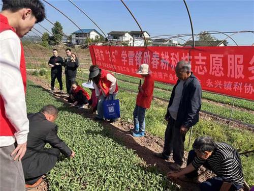 华蓥市开展“3·5”学雷锋助春耕育苗及管护技术现场培训